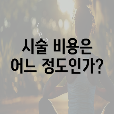 시술 비용은 어느 정도인가?