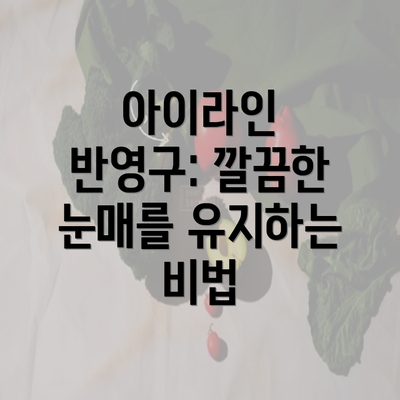 아이라인 반영구: 깔끔한 눈매를 유지하는 비법