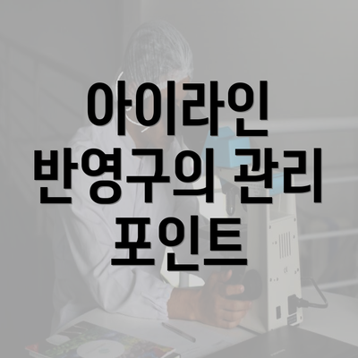 아이라인 반영구의 관리 포인트