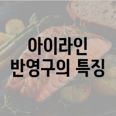 아이라인 반영구의 특징