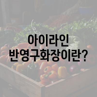 아이라인 반영구화장이란?