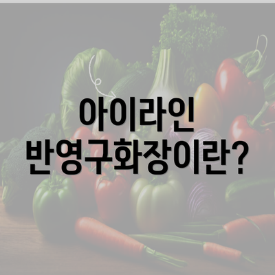 아이라인 반영구화장이란?