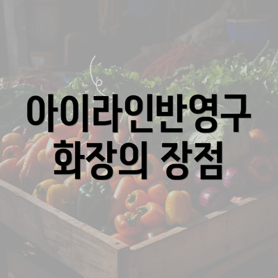 아이라인반영구 화장의 장점