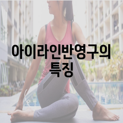 아이라인반영구의 특징