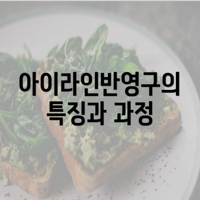 아이라인반영구의 특징과 과정