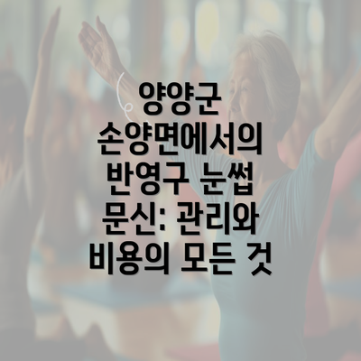 양양군 손양면에서의 반영구 눈썹 문신: 관리와 비용의 모든 것