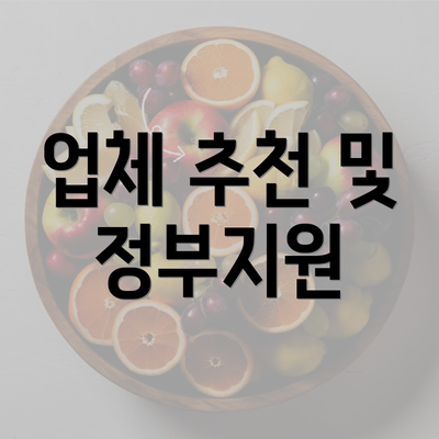 업체 추천 및 정부지원