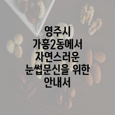 영주시 가흥2동에서 자연스러운 눈썹문신을 위한 안내서