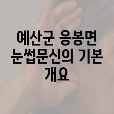 예산군 응봉면 눈썹문신의 기본 개요