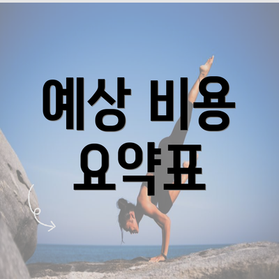 예상 비용 요약표