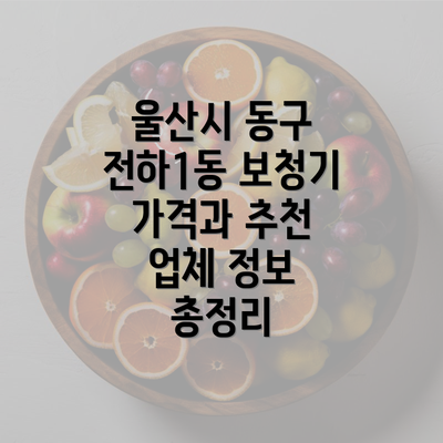 울산시 동구 전하1동 보청기 가격과 추천 업체 정보 총정리