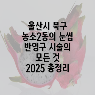 울산시 북구 농소2동의 눈썹 반영구 시술의 모든 것 2025 총정리