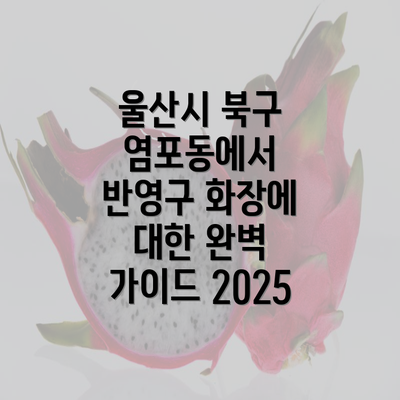 울산시 북구 염포동에서 반영구 화장에 대한 완벽 가이드 2025