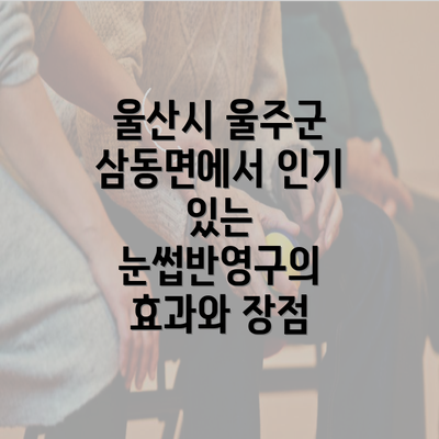 울산시 울주군 삼동면에서 인기 있는 눈썹반영구의 효과와 장점