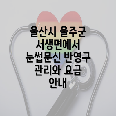 울산시 울주군 서생면에서 눈썹문신 반영구 관리와 요금 안내