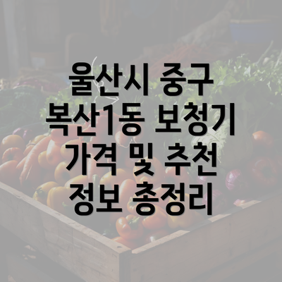 울산시 중구 복산1동 보청기 가격 및 추천 정보 총정리