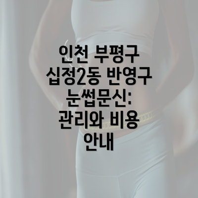 인천 부평구 십정2동 반영구 눈썹문신: 관리와 비용 안내