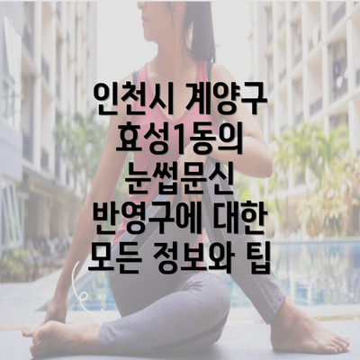 인천시 계양구 효성1동의 눈썹문신 반영구에 대한 모든 정보와 팁