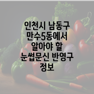 인천시 남동구 만수5동에서 알아야 할 눈썹문신 반영구 정보