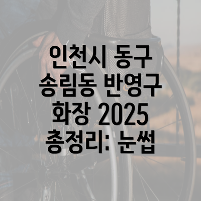 인천시 동구 송림동 반영구 화장 2025 총정리: 눈썹