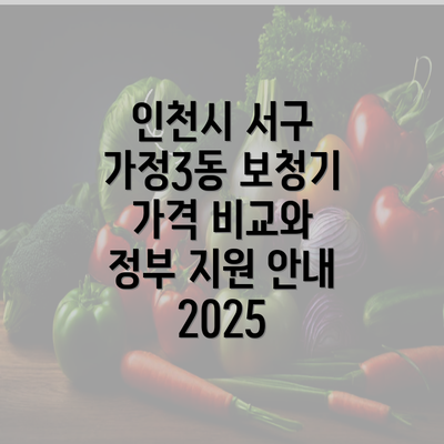 인천시 서구 가정3동 보청기 가격 비교와 정부 지원 안내 2025