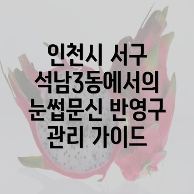 인천시 서구 석남3동에서의 눈썹문신 반영구 관리 가이드