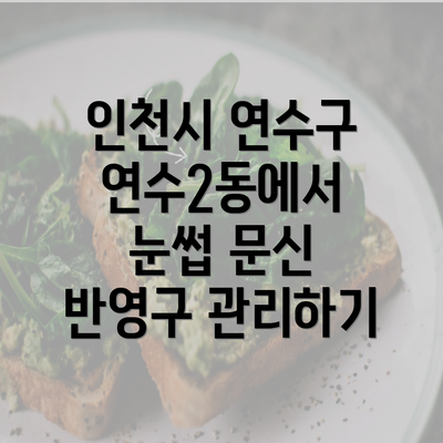 인천시 연수구 연수2동에서 눈썹 문신 반영구 관리하기