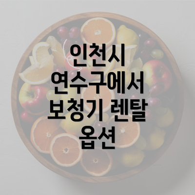 인천시 연수구에서 보청기 렌탈 옵션