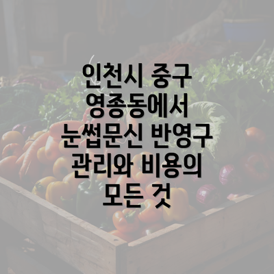 인천시 중구 영종동에서 눈썹문신 반영구 관리와 비용의 모든 것