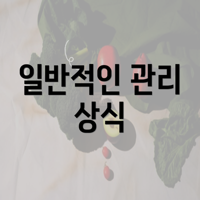 일반적인 관리 상식