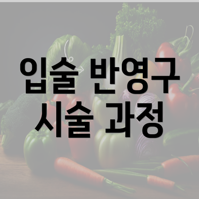 입술 반영구 시술 과정