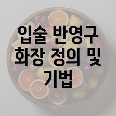 입술 반영구 화장 정의 및 기법