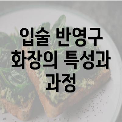 입술 반영구 화장의 특성과 과정