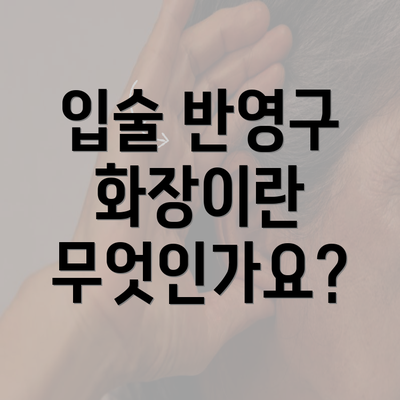 입술 반영구 화장이란 무엇인가요?