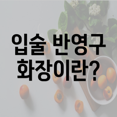 입술 반영구 화장이란?