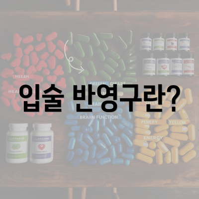 입술 반영구란?