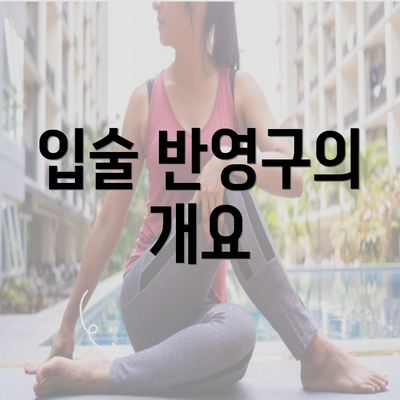 입술 반영구의 개요