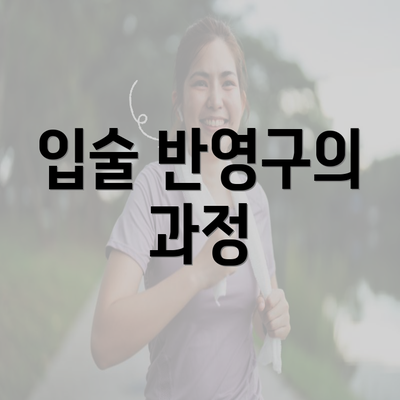 입술 반영구의 과정