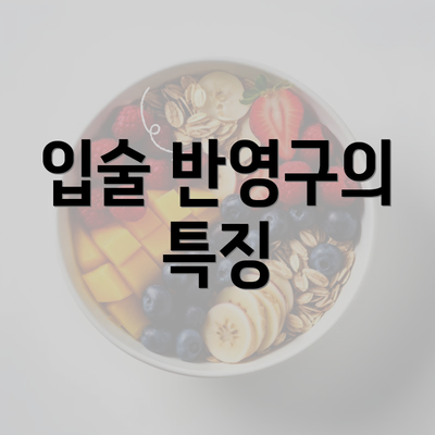 입술 반영구의 특징