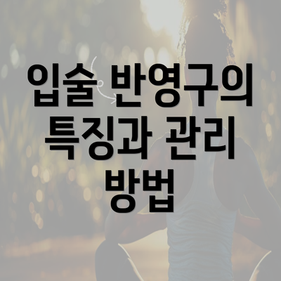 입술 반영구의 특징과 관리 방법