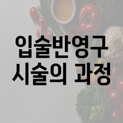 입술반영구 시술의 과정