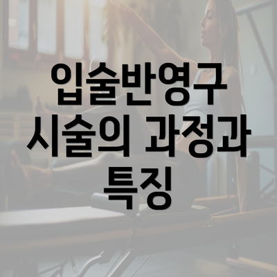 입술반영구 시술의 과정과 특징