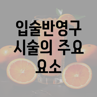 입술반영구 시술의 주요 요소