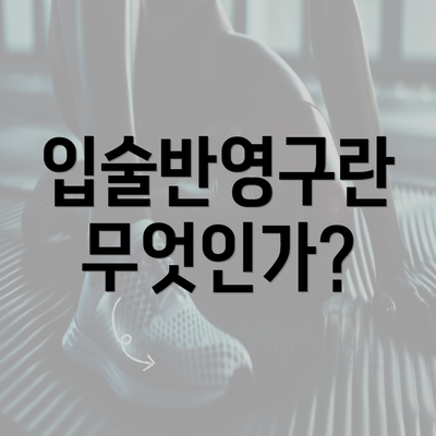 입술반영구란 무엇인가?