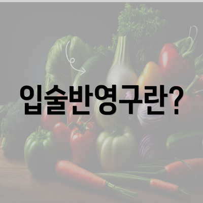 입술반영구란?