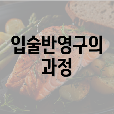 입술반영구의 과정