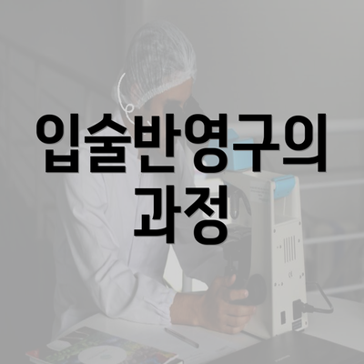 입술반영구의 과정