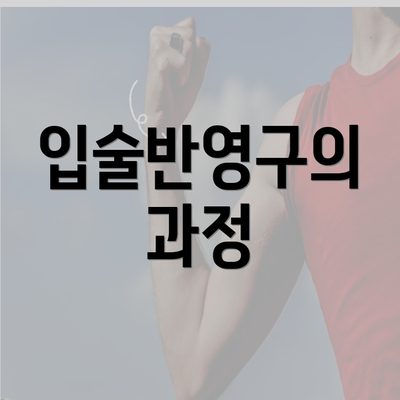 입술반영구의 과정