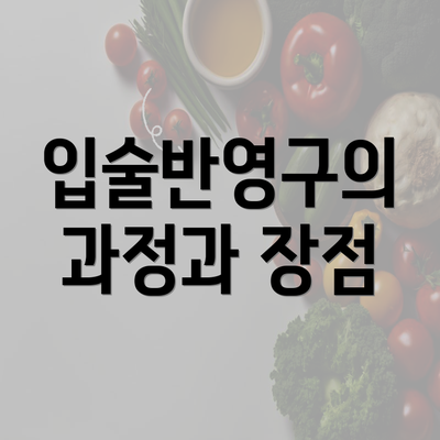 입술반영구의 과정과 장점