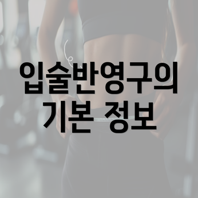 입술반영구의 기본 정보